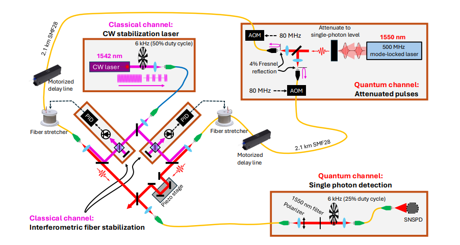 Phase-stable Optical Fiber Links Achieve 0.998 Fidelity for Quantum Network Protocols