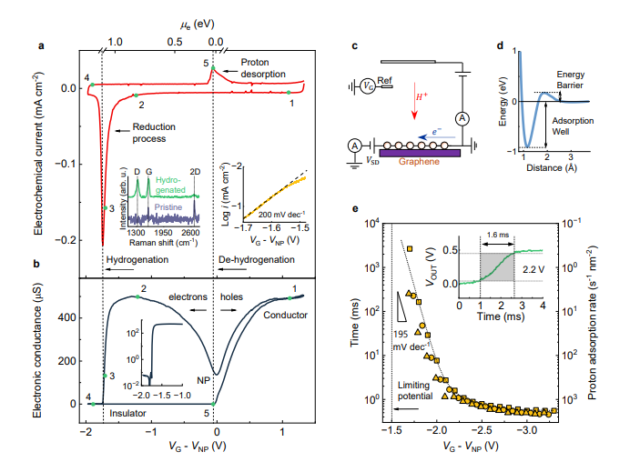 Electrochemical Hydrogenation of Graphene Achieves Reversible Transitions and Enhanced Rates Via Lattice Corrugations