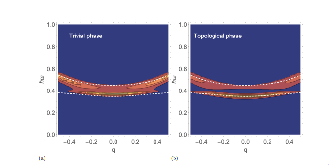 Topology and Spectral Entanglement in Cavity-Mediated Photon Scattering Reveals Links Between Band Geometry and Light-Matter Correlations