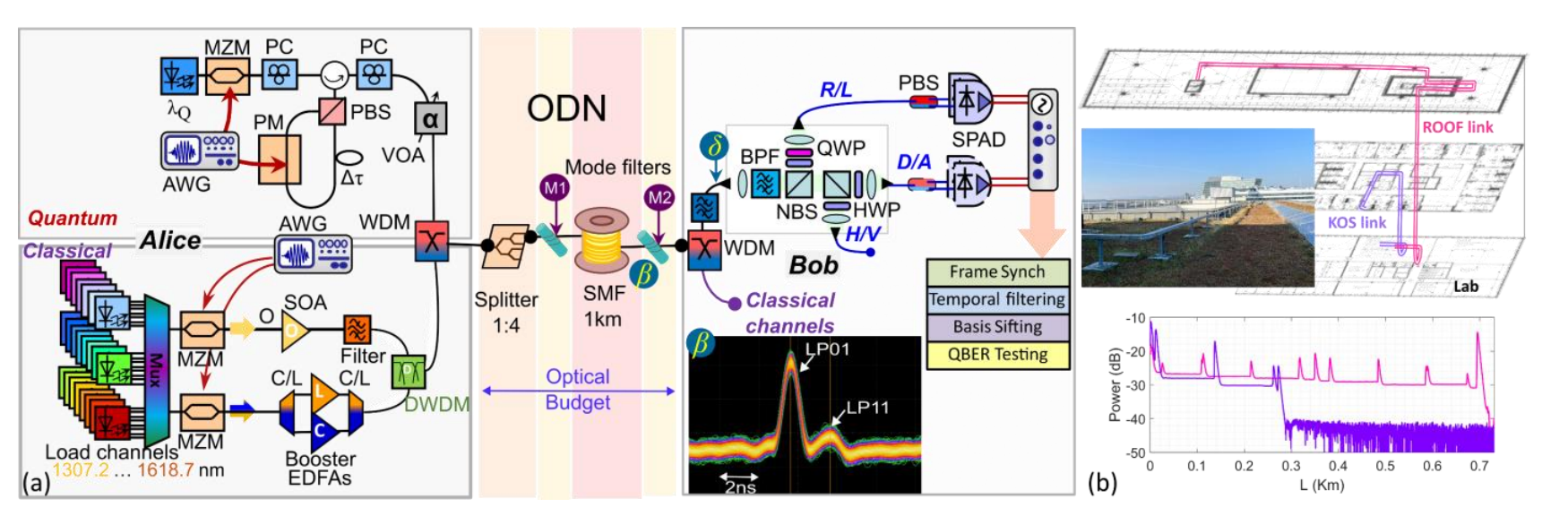 Shortwave-qkd Enables 12 Kb/s Secure Communication in Networks with 50 Co-existing Data Channels