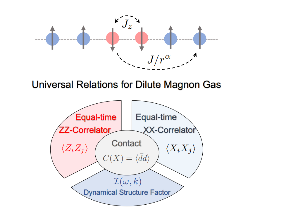 Universal Relations in Long-range Quantum Spin Chains Demonstrate Connections Between Correlation Functions and Contact Density