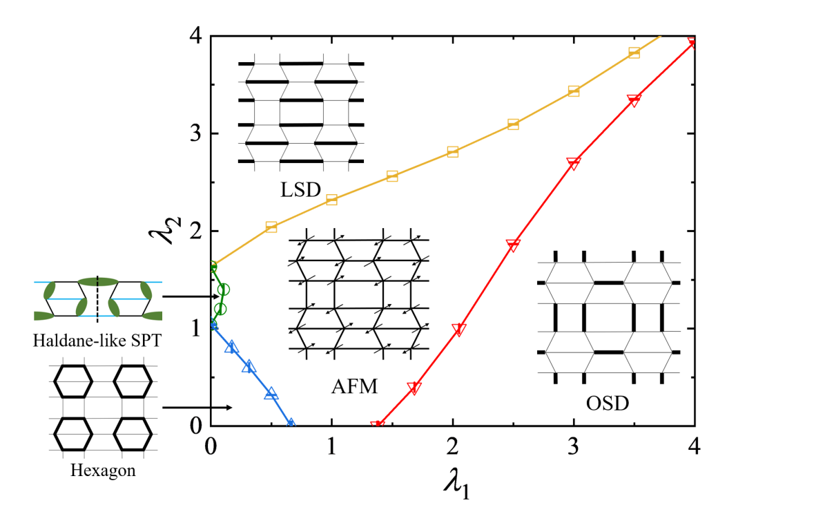 Heisenberg Model Study Reveals Five Phases on 2D Square-Hexagon-Octagon Lattice