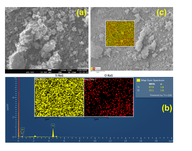 Oxygen-deficient TiO Nanoparticles Synthesized with Phyllanthus Niruri Exhibit Enhanced Magnetic Properties and 250nm Absorption
