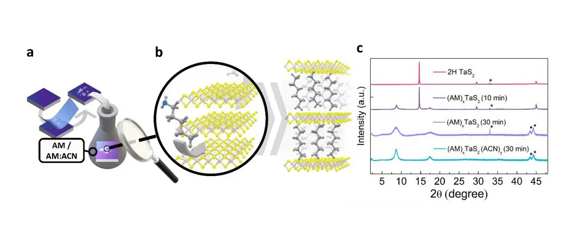 2h-tas2 Devices Achieve Enhanced Superconductivity Via In-Situ Molecular Intercalation of Tens-of-nm Flakes