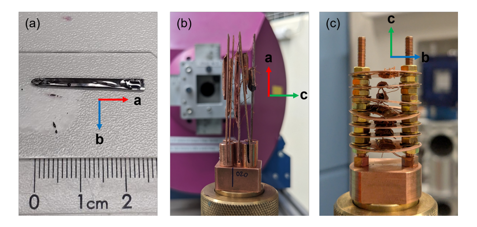 Quantum Magnet (C5H9NH3)2CuBr4 Demonstrates Interplay Between Magnetic Correlations and Phonon Spectrum