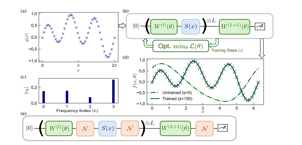 Exploiting Biased Noise in Variational Quantum Models Enhances Classical Optimisation and Machine Learning