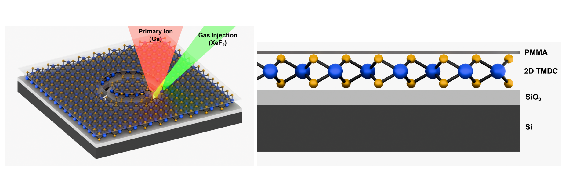 Protected Ion Beam Fabrication Preserves Optical Characteristics of Two-Dimensional Transition Metal Dichalcogenides