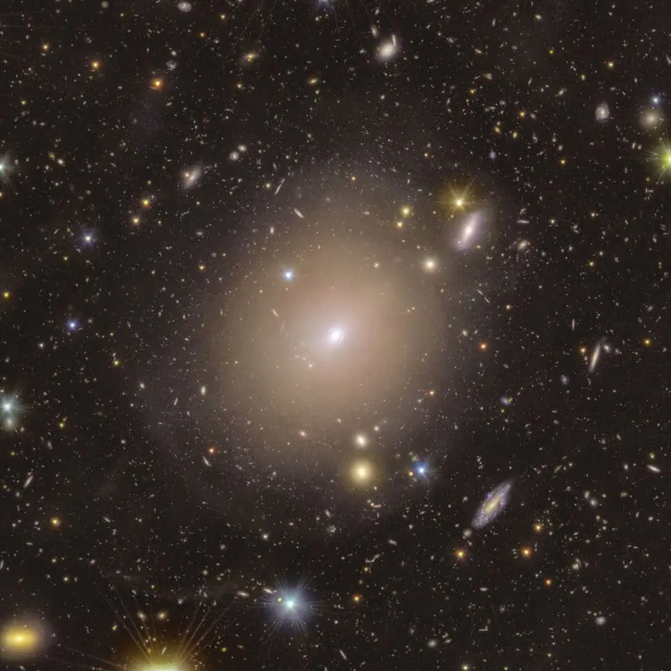 Euclid Uncovers Rare Einstein Ring in Cosmic Backyard