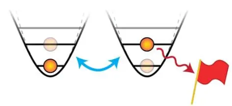 encode a single “dual-rail” qubit in a pair of transmons in order to be able to flag errors that are caused by photon leakage.
