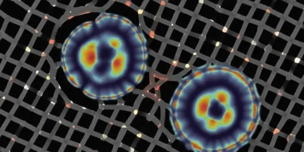 Reversed Magnetism Unlocked, Offering Potential for Novel Data Storage Technologies