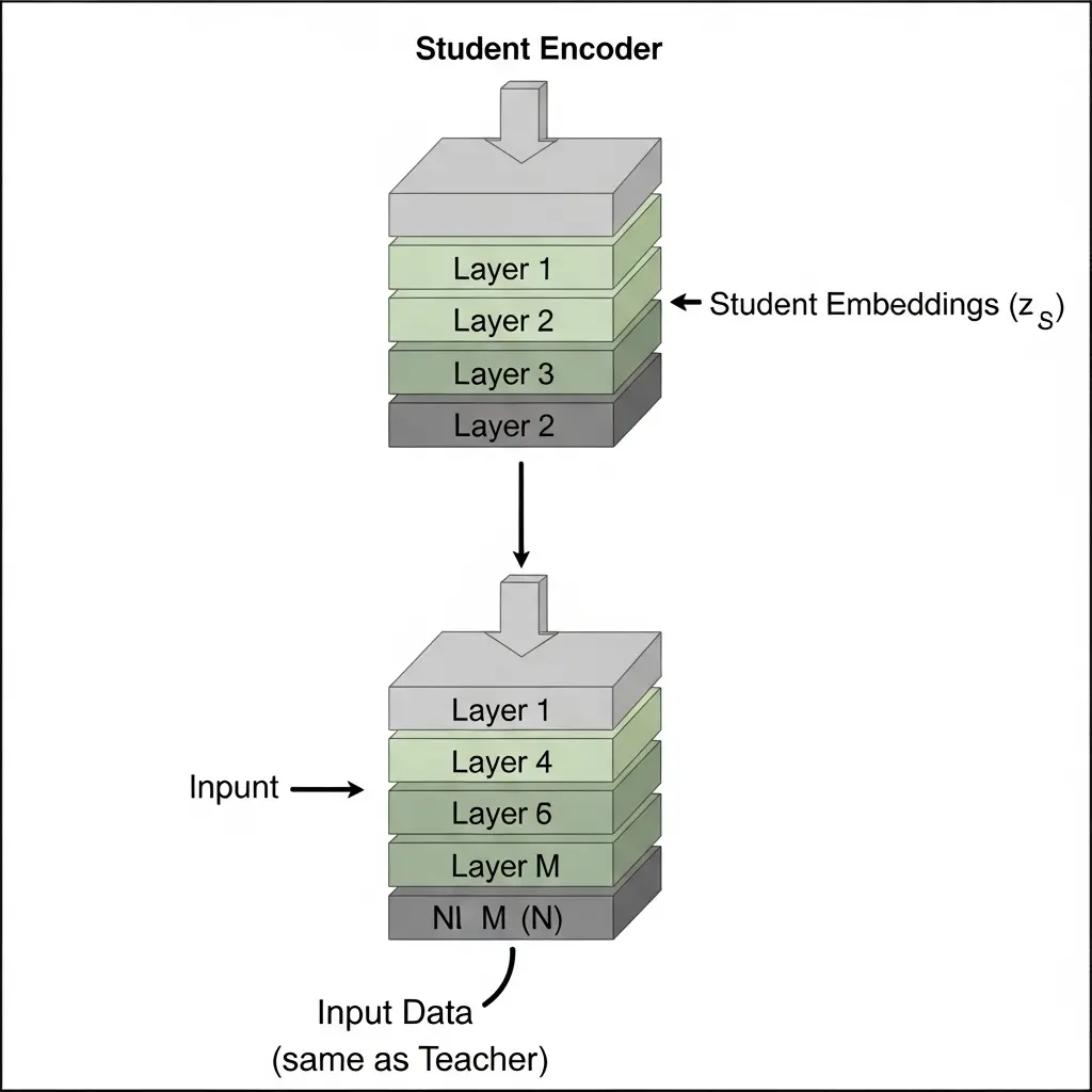 Disentangled Distilled Encoder Achieves Out-of-Distribution Reasoning with Rademacher Guarantees