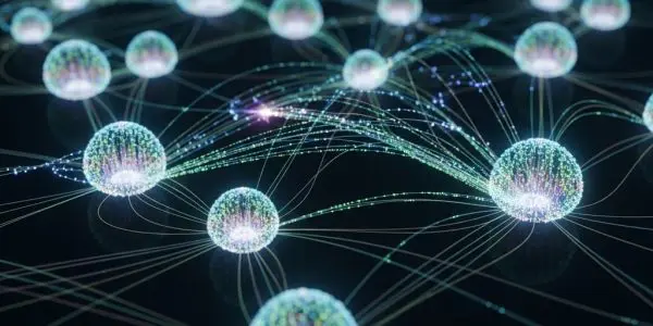 Quantum Networks Overcome Fragility to Synchronise Learning across Distances