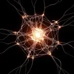 Glowing neuron-like network with branching connections radiating from a bright central core, symbolizing neural networks, synaptic signaling, and quantum-inspired computing.