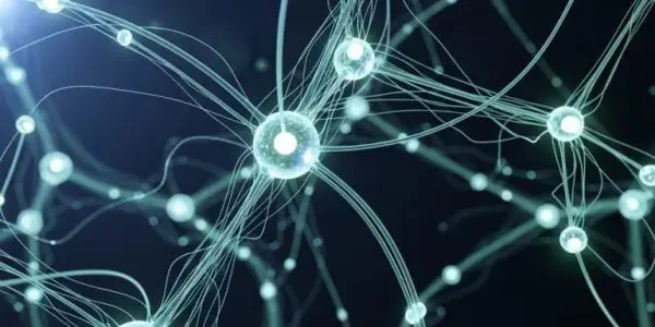 Entangled Quantum States Quantified, Revealing the Cost of Building Powerful Computers