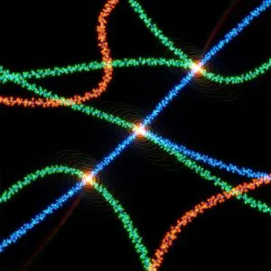 Magnetism’s Secrets Unlocked as CoNb₂O₆ Spectroscopy Probes Fractionalized Spinons