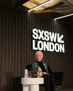 An elderly woman sits in a chair with a stuffed toy, against a dark backdrop with a large logo.