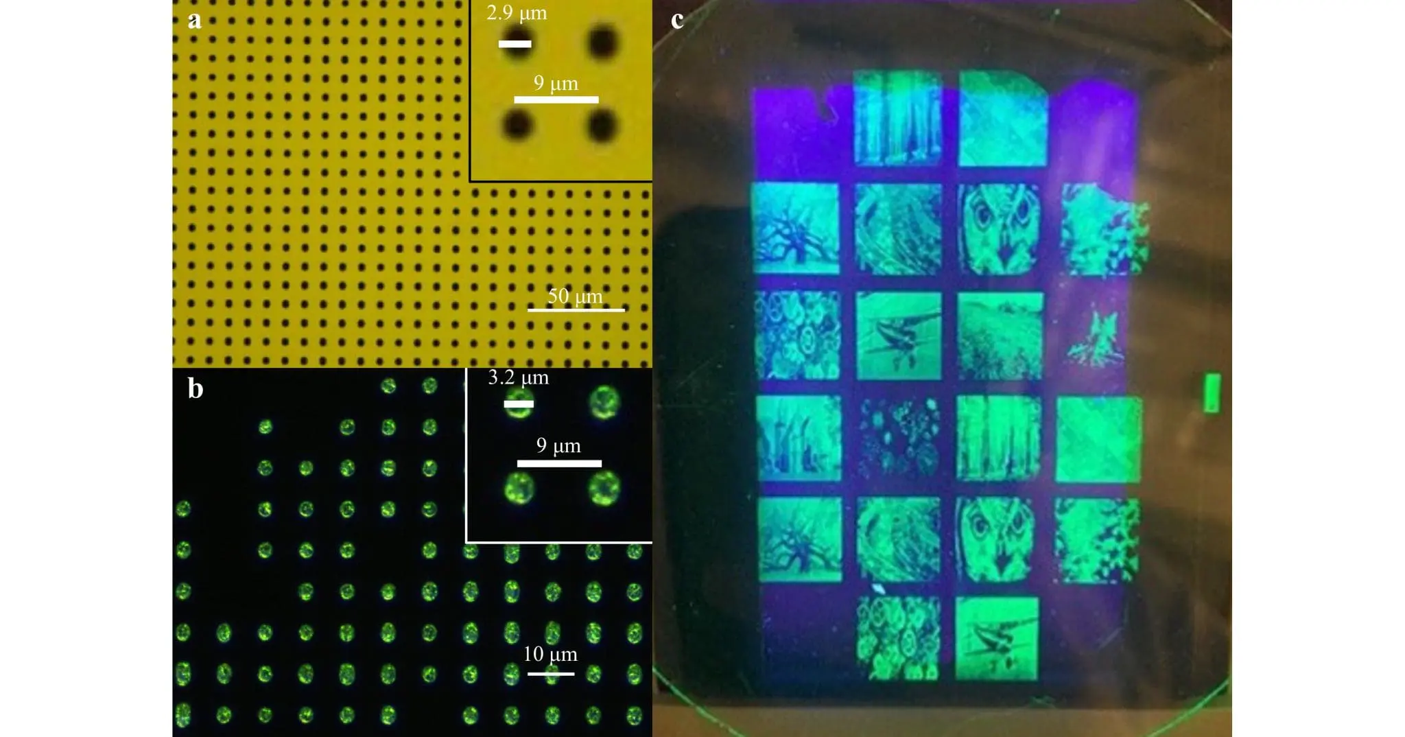 High-Resolution Dry Lift-Off Patterning of Quantum Dots Using Parylene for Optoelectronic Applications