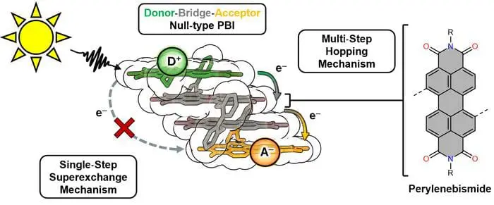 Researchers Achieve Breakthrough In Artificial Photosynthesis By Mimicking Plants' Light Energy Conversion