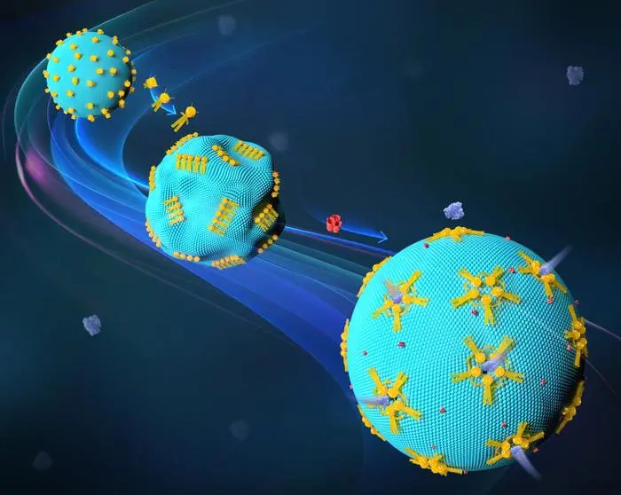 Stuttgart scientists create DNA nanorobots for cell therapy