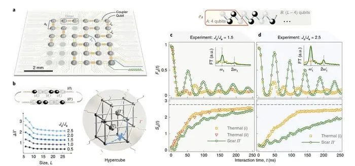 Quantum Coherence Gets A Boost With New Developments