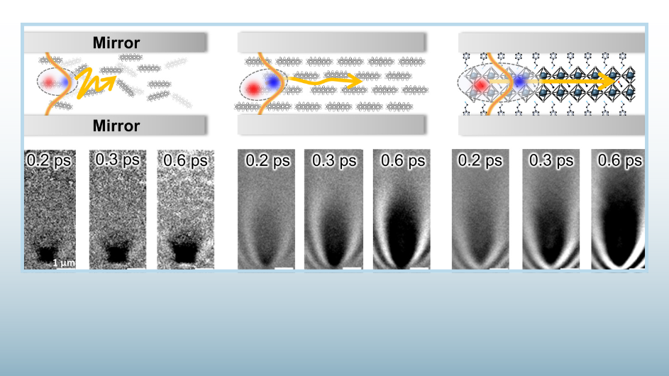 The Playbook for Perfect Polaritons