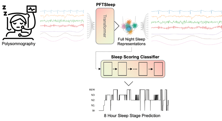 Mount Sinai Researchers Develop AI Model For Accurate Sleep Stage Classification