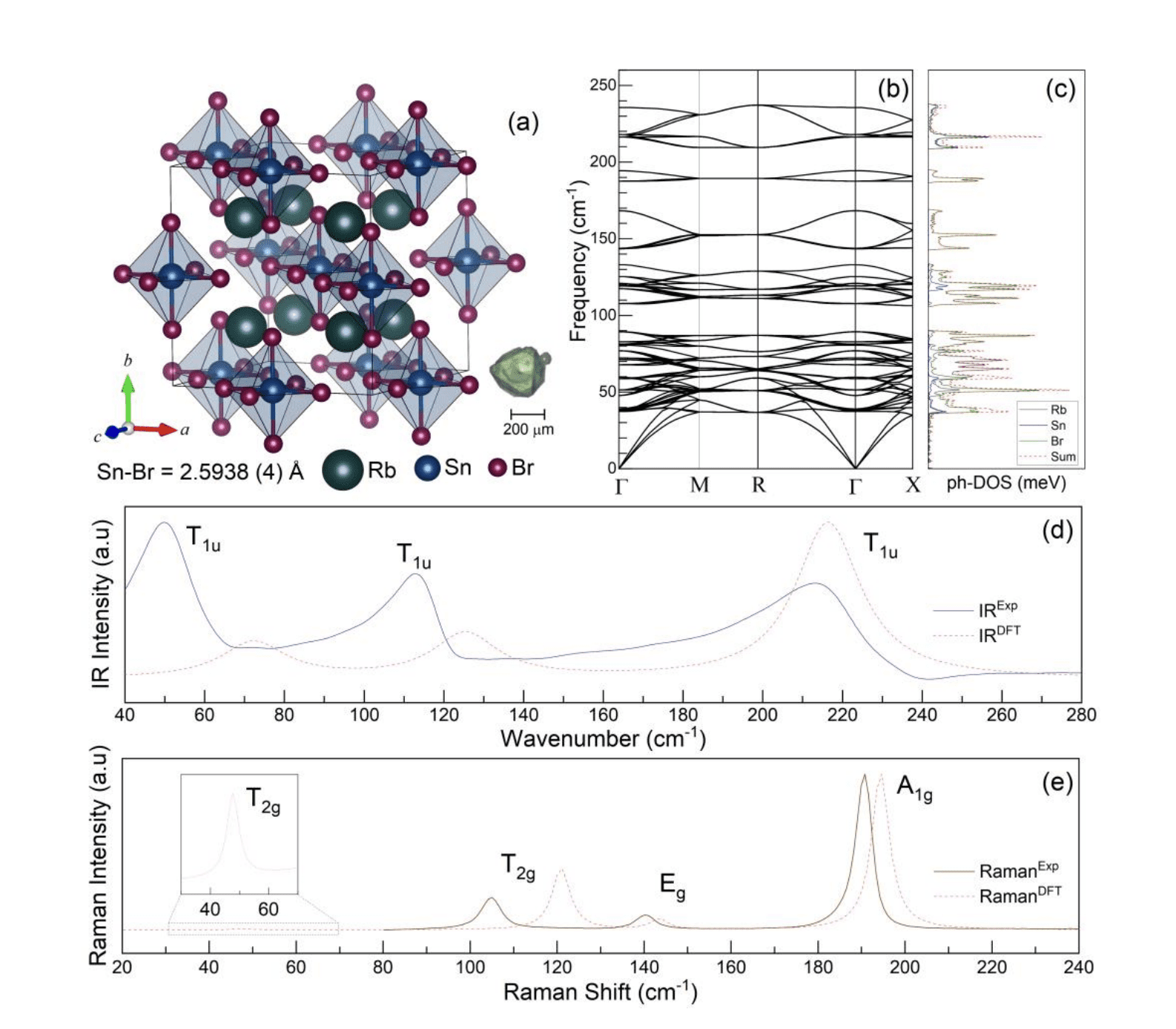 Study Reveals Insights into Electron-Phonon Coupling in Zero-Dimensional Perovskites for Light-Harvesting Applications