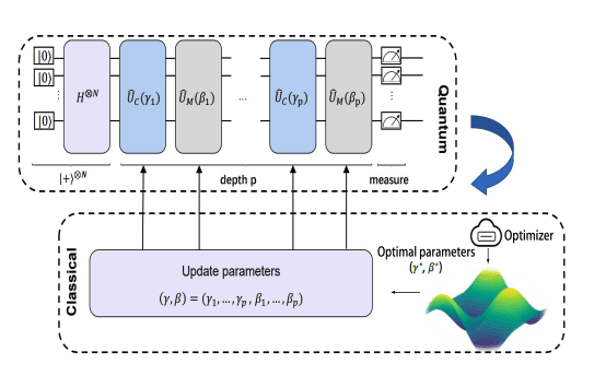 Backbone-Driven QAOA: A Hybrid Framework for Combinatorial Optimization on NISQ Devices
