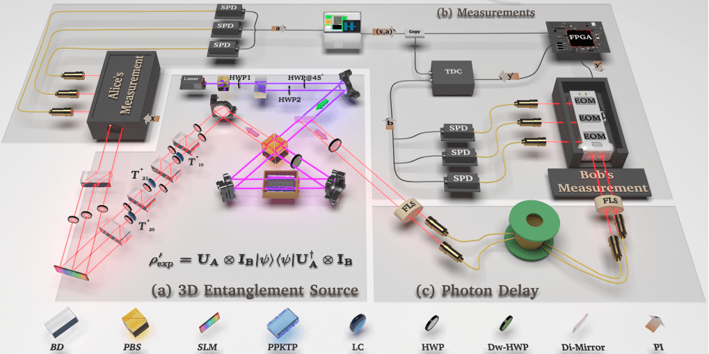 Advancing Entanglement Detection with 1-LOCC Protocols for High-Dimensional Systems