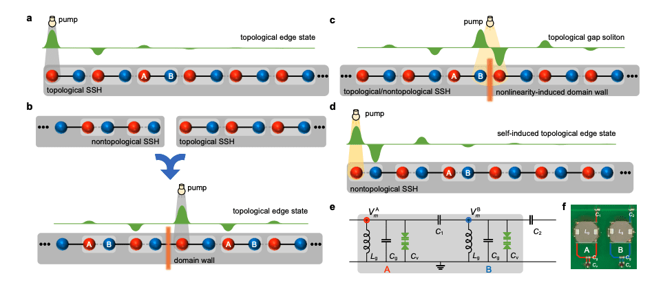 Self-Induced Topological Edge States in Nonlinear Lattices: A Breakthrough in Quantum Physics