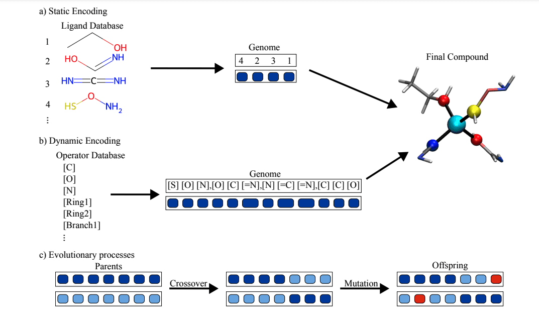 Accelerating Coordination Compound Discovery with Genetic Algorithms and Ab Initio Methods