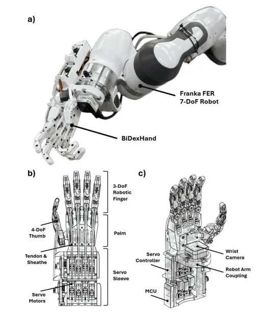 BiDexHand: Biomimetic Robotic Hand Achieves Dexterity