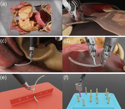 Surgery Training: Digital Twins & Behavior Cloning
