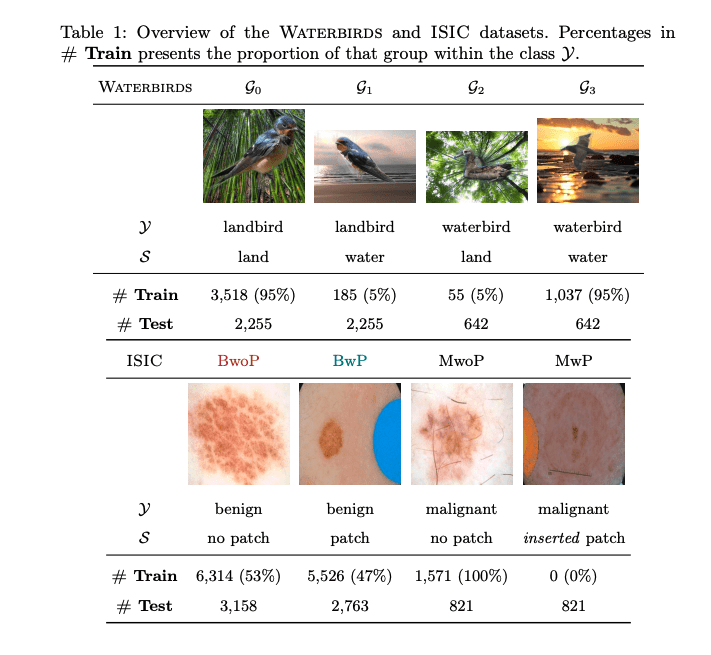 How Neural Networks Encode Spurious Correlations: Insights from XAI Analysis