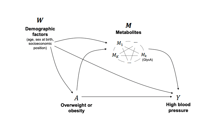Causal Mediation Analysis of Interventional Effects in High-Dimensional Health Studies