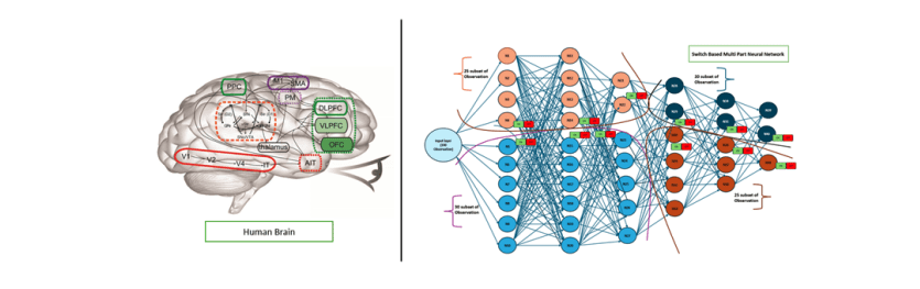 Decentralized Modular Neural Networks Enhance Scalability and Interpretability in AI Systems