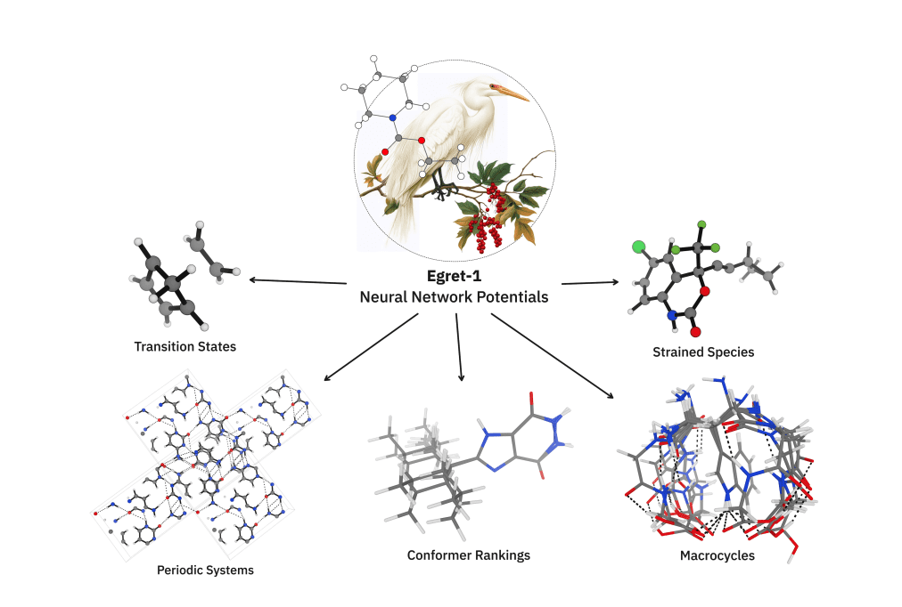 Egret-1 Neural Networks Revolutionize Molecular Simulations with Speed and Accuracy