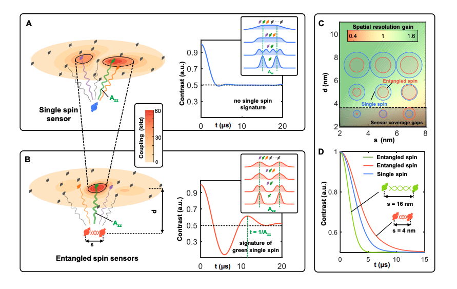 Entanglement-Enhanced Sensing Protocol for Single-Spin Detection in Diamond