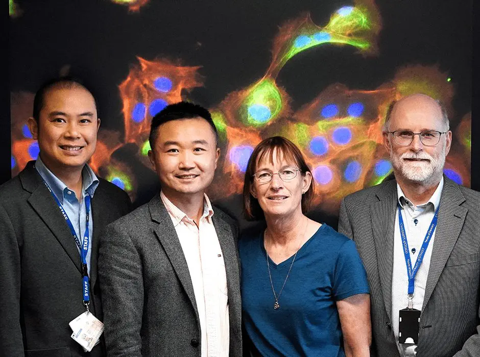 Early Detection of Oral Cancer Improved by Nano Technology and AI