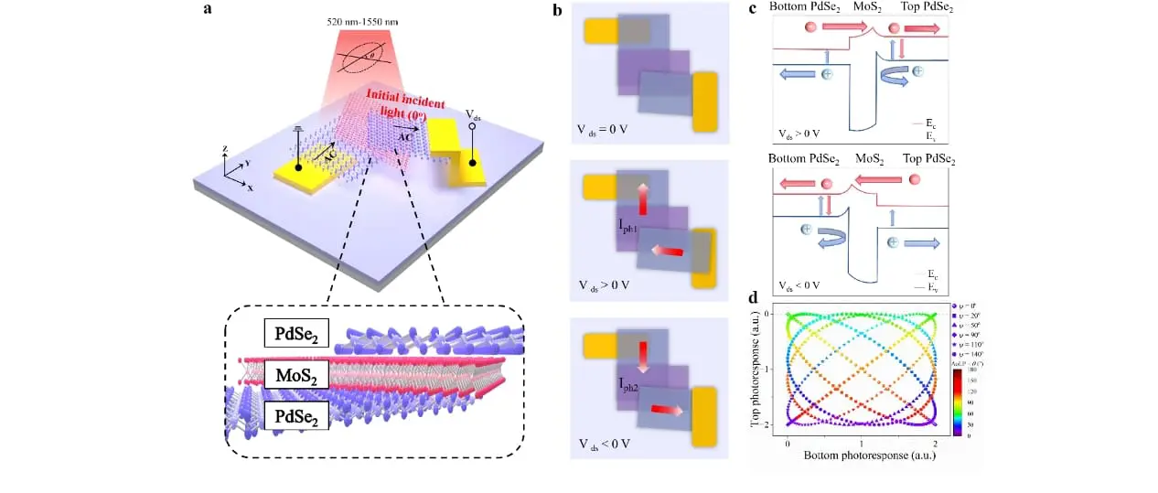 Innovative New Device Simplifies Optical Imaging and Sensing with Breakthrough Polarization Detection