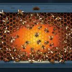 GPU computing accelerating parallel workloads for AI and science