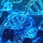 AI Predicts DNA Binding With Hypercomplexity, NC State Finds
