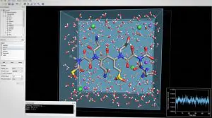 This screenshot displays a molecular dynamics simulation showing a molecule within a water model, with red, blue, and green colours.