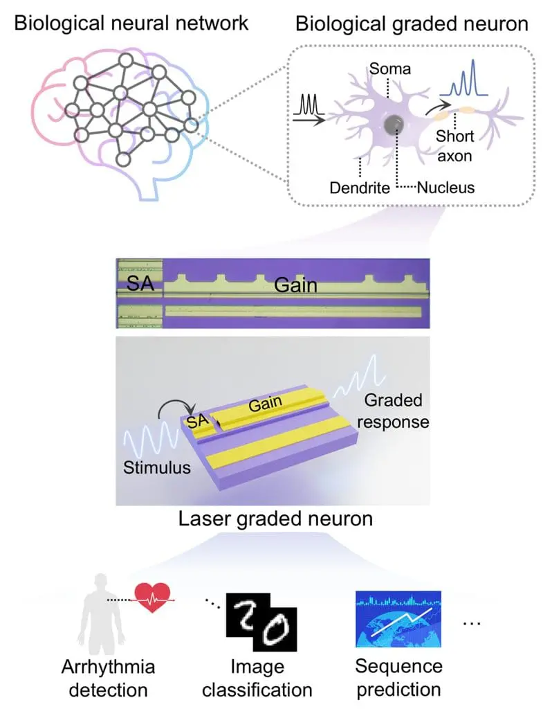 Hong Kong University Develops Ultrafast Laser Artificial Neuron Hong Kong University develops ultrafast laser artificial neuron