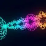 Fermions and bosons as the two fundamental classes of particles