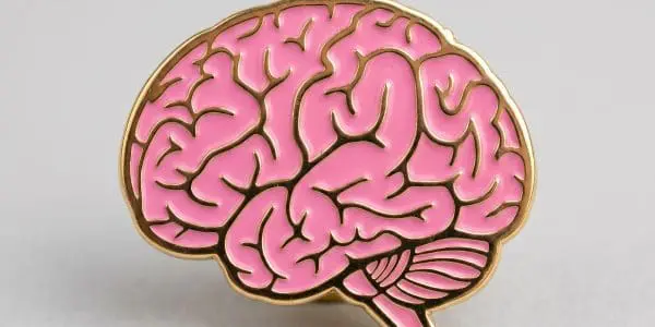 UMD Leads $7M MURI to Study Brain’s Hidden Astrocytes