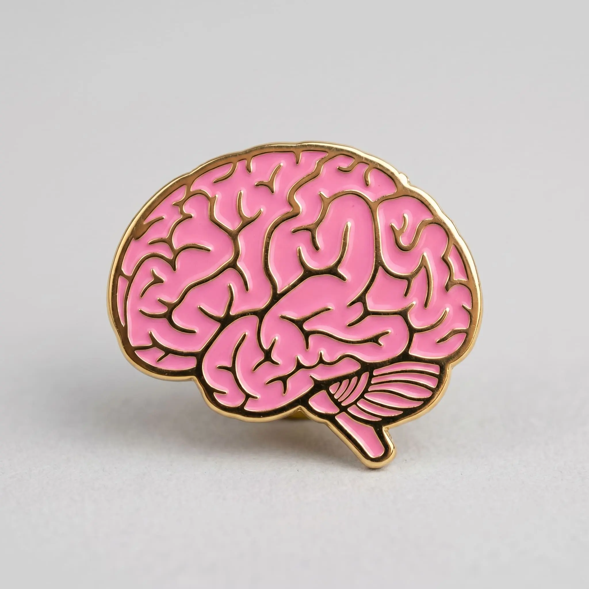 UMD Leads $7M MURI to Study Brain’s Hidden Astrocytes