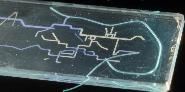 A clear rectangular block containing a network of glowing blue and green microfluidic channels is suspended in darkness.