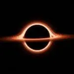 Holographic Negativity Reveals Thermodynamics in Backreacted AdS Black Holes