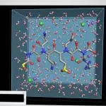 A molecular dynamics simulation on screen